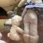 はるにゃんこ…✳︎