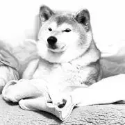 あいの画像