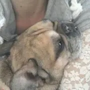 ポテロング