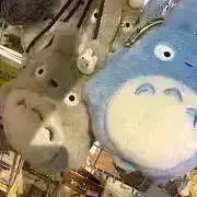 myの画像