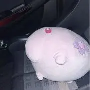 ムンナの画像