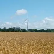 ばあぶうの画像
