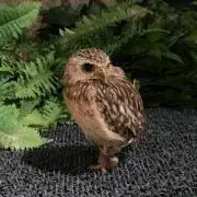 ときわ