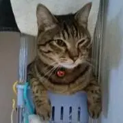 ☆まりこ断捨離努力中☆の画像