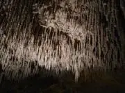 自己紹介必ず読んでください/マムズの画像