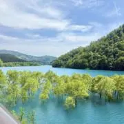 sachiの画像
