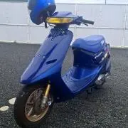 かずにゃん様なのだ！の画像