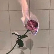 さの画像
