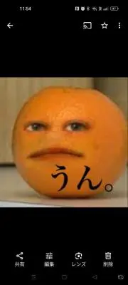 デュエルマスターズ