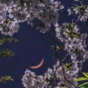 Angry Rabbitの画像