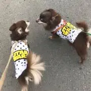 涼子