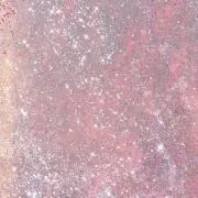moaの画像