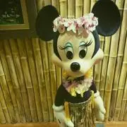 Nの画像