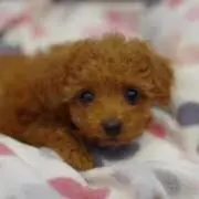 Me＊まとめ買いの方値下げ交渉歓迎