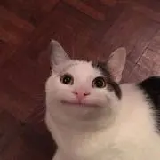 Ⓜ️