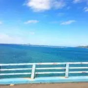 なおぴーなる早発送の画像