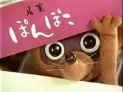 K16の画像