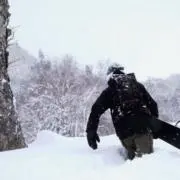 なあさんの画像