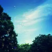 ももちゃん**