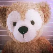 ぽっぽの画像