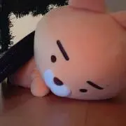 みさの画像