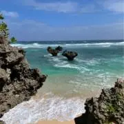 Rの画像
