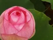 23akiの画像