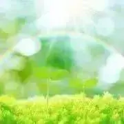 たま姫♡感謝離✩.*˚の画像