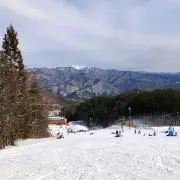 JDAの画像