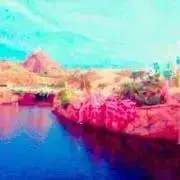 ミミの画像