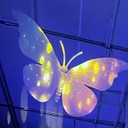 ゆきの画像