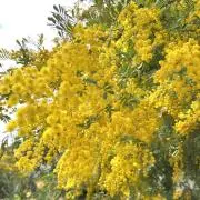 kikomama☆プロフ必読⭐︎の画像