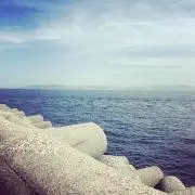 Tomo