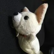 にこりんの画像