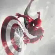 spida