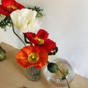 Mの画像