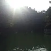 たけぼー