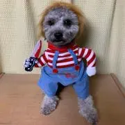 シゲニッヒ