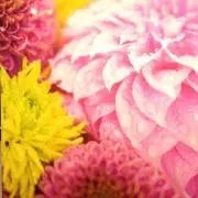 ちん ※いきなり購入NG※