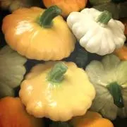 ネスプレッソカプセル 11箱 新品未開封 - メルカリ