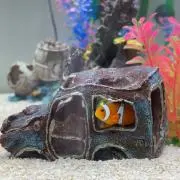y.rの画像