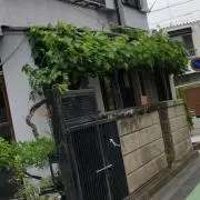 GAO JUN XⅠAの画像