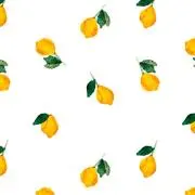 nononoの画像