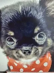 わかばMayの画像