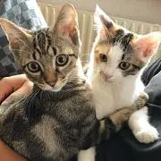 みいちゃん　購入前にプロフ確認してね