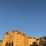 あみの画像