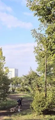 キムチの画像