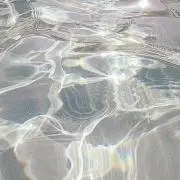 asu.の画像