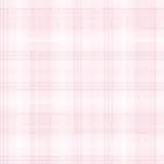 しえ 即購入⭕️の画像