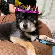 なるみらの画像